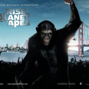 Rise of the Planet of the Apes photo 4
