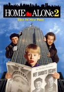 Home Alone 2: Lost in New York poster image