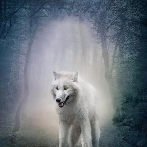 White Wolves III: Cry of the White Wolf - Rotten Tomatoes