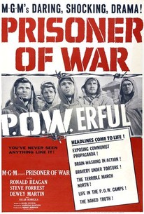 Poster for Prisoner of War