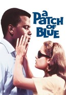 A Patch of Blue poster image