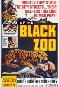Poster for Black Zoo