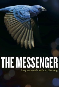 The Messenger poster