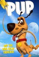 Pup poster image