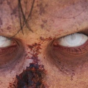 Rise of the Zombies - Rotten Tomatoes