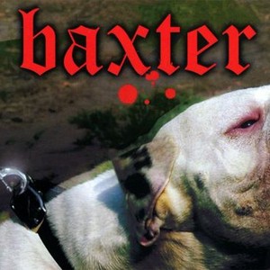 "Baxter photo 1"