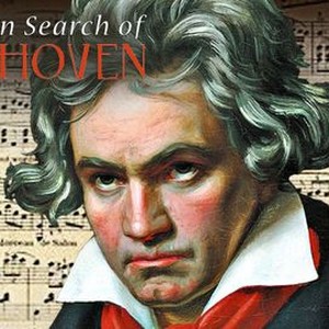 In Search of Beethoven photo 16