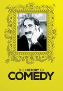 The History of Comedy poster image