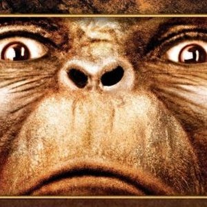 Battle for the Planet of the Apes photo 17