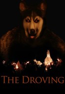 The Droving poster image