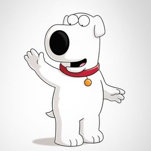Brian, the dog is voiced by Seth MacFarlane
