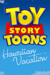 Poster for Hawaiian Vacation