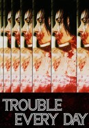 Trouble Every Day poster image