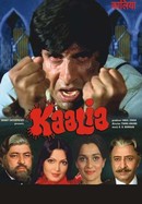 Kaalia poster image