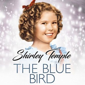 The Blue Bird - Rotten Tomatoes