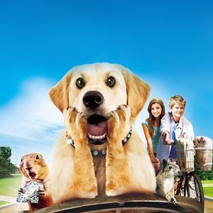 "Diamond Dog Caper photo 9"