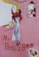 Mr. Peek-A-Boo poster image