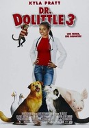 Dr. Dolittle 3 poster image