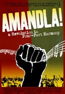 Amandla! A Revolution in Four-Part Harmony poster image