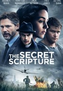 The Secret Scripture poster image