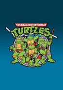 Teenage Mutant Ninja Turtles poster image