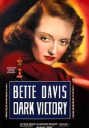 Dark Victory poster image