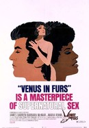 Venus in Furs poster image