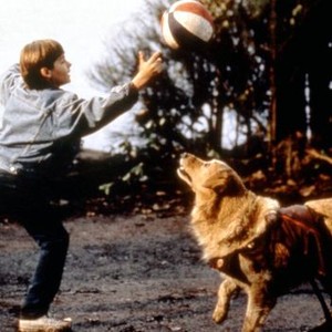 AIR BUD, Kevin Zegers, Buddy the Dog, 1997, (c)Buena Vista Pictures