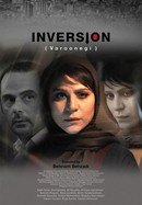 Inversion poster image