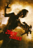 The Zombie Diaries poster image