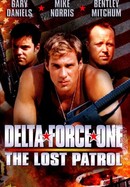 Delta Force One: The Lost Patrol poster image
