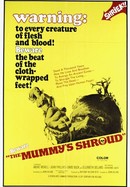 The Mummy's Shroud poster image