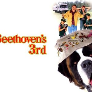 "Beethoven&#39;s 3rd photo 11"