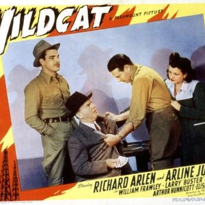 WILDCAT, Buster Crabbe, Richard Arlen, Arline Judge, 1942