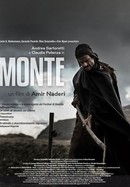 Monte poster image