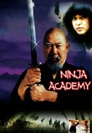 Ninja Academy poster image