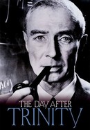 Day After Trinity: J. Robert Oppenheimer and the Atomic Bomb poster image