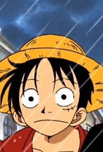 One Piece Season 10 Episode 24 Rotten Tomatoes