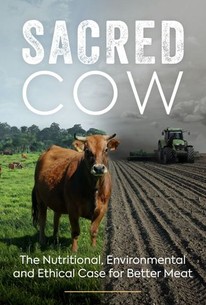 Watch trailer for Sacred Cow