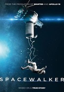 The Spacewalker poster image