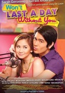 Won't Last a Day Without You poster image