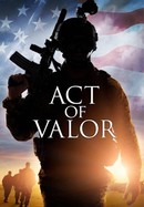 Act of Valor poster image