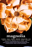 Magnolia poster image