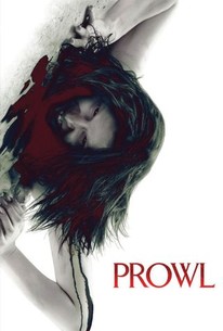 Poster for Prowl