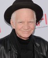 Michael J. Pollard