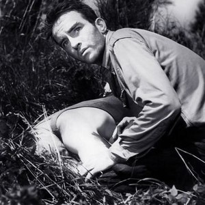 The Young Lions (1958)