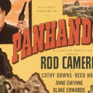 Panhandle photo 12