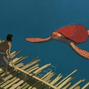 The red turtle outlet streaming