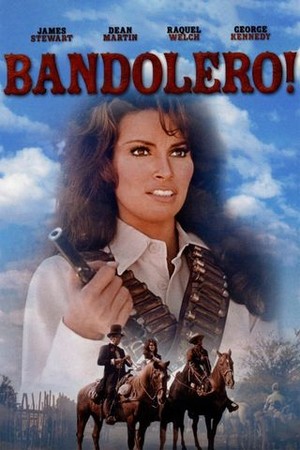 Bandolero! poster