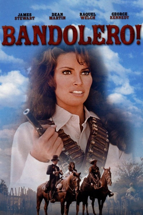 Bandolero! poster
